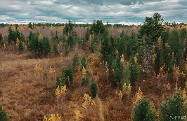 $79,900 | Smith Road, Brasher Falls, NY 13613