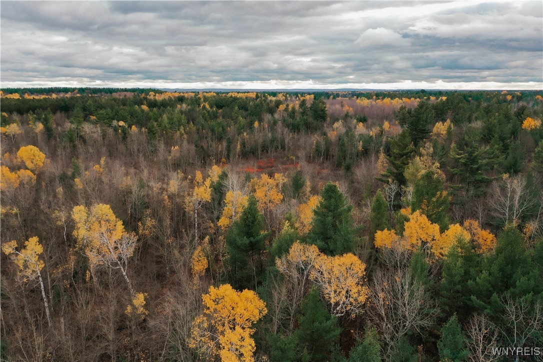 Smith Road Brasher Falls, NY 13613 - Photo 7 of 10