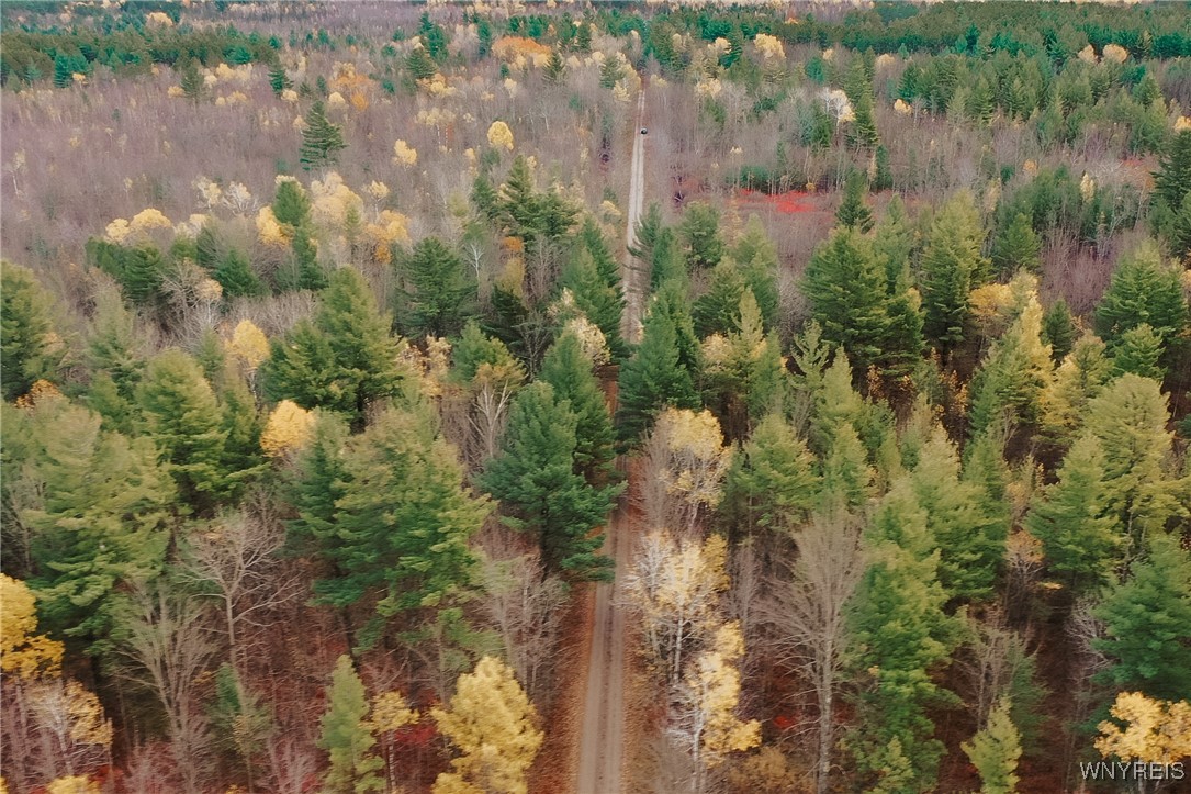 Smith Road Brasher Falls, NY 13613 - Photo 8 of 10