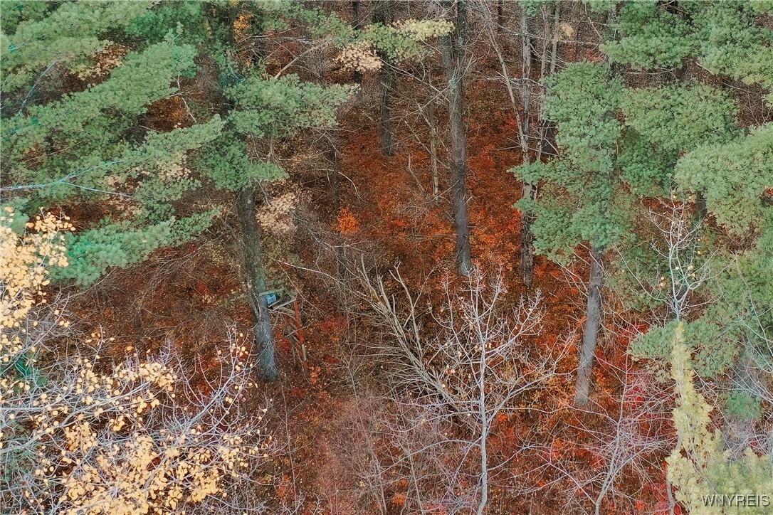 Smith Road Brasher Falls, NY 13613 - Photo 9 of 10