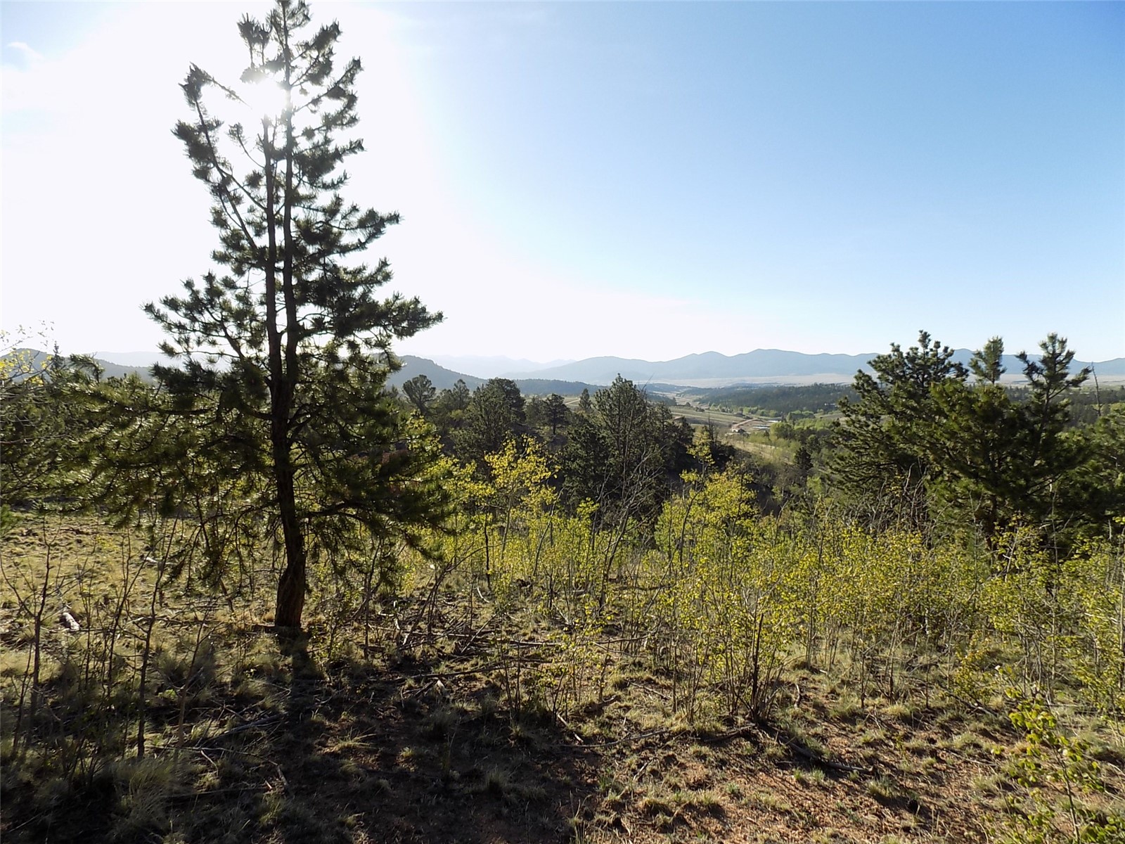 187 Osprey Road Como, CO 80432 - Photo 9 of 20 Gallery Image 9