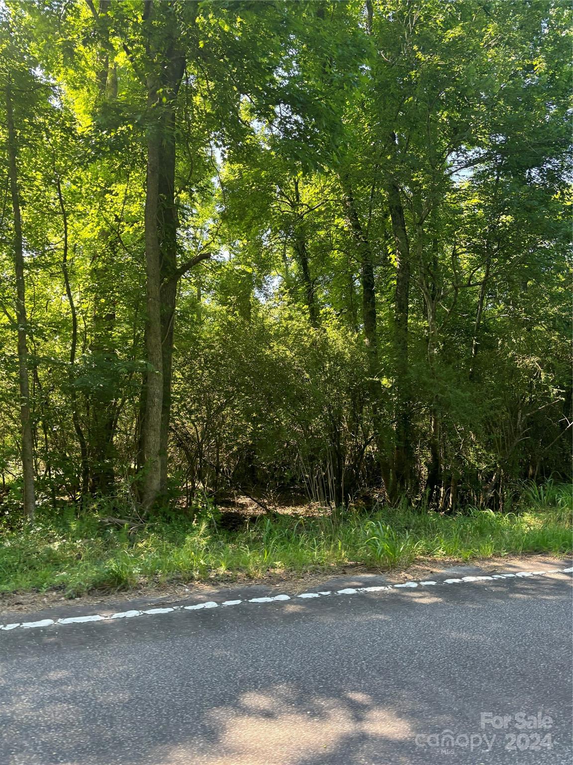 0 Columbus Road, Unit 8 Rembert, SC 29128 - Photo 2 of 8 a view of a yard with a trees