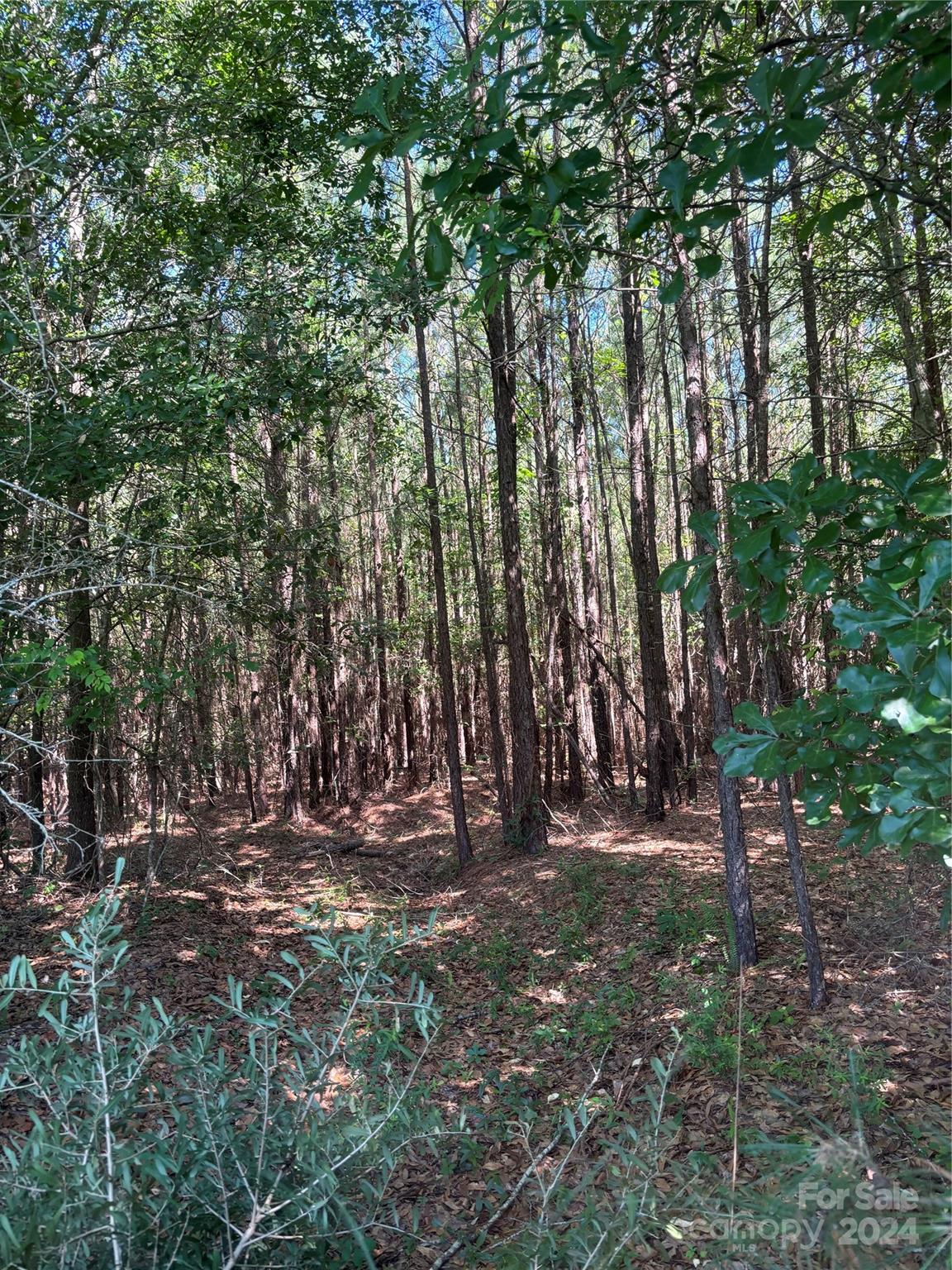 0 Columbus Road, Unit 8 Rembert, SC 29128 - Photo 4 of 8 a view of outdoor space with trees