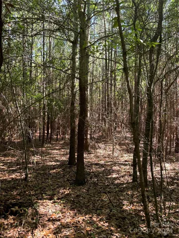 a view of outdoor space with trees