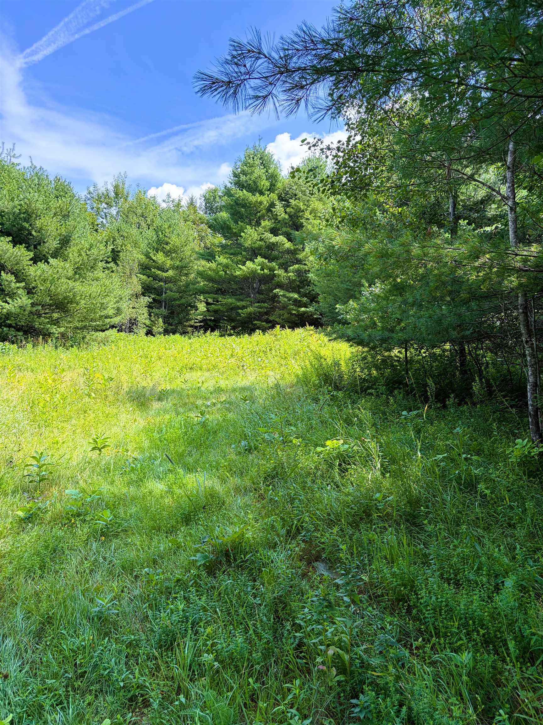 0 Osgood Farm Road Littleton, NH 03561 - Photo 12 of 58 Gallery Image 12