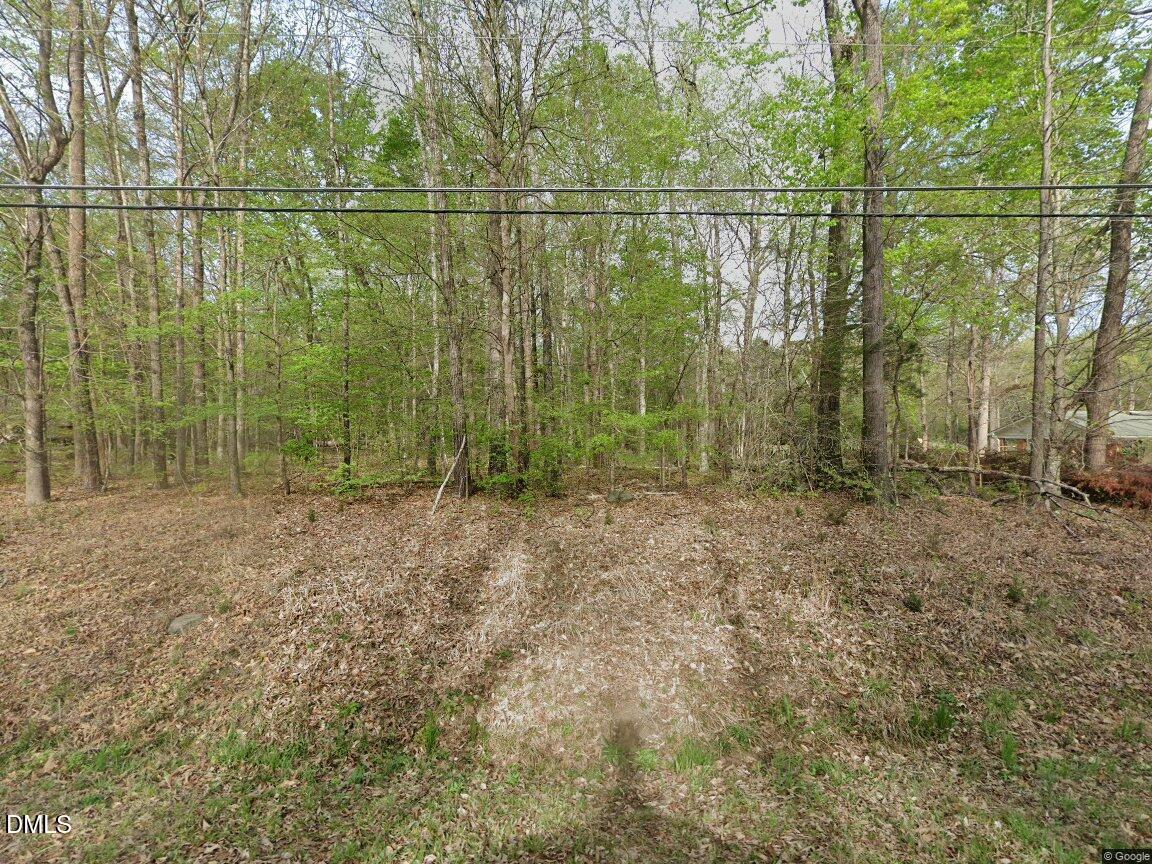 a view of a with large trees