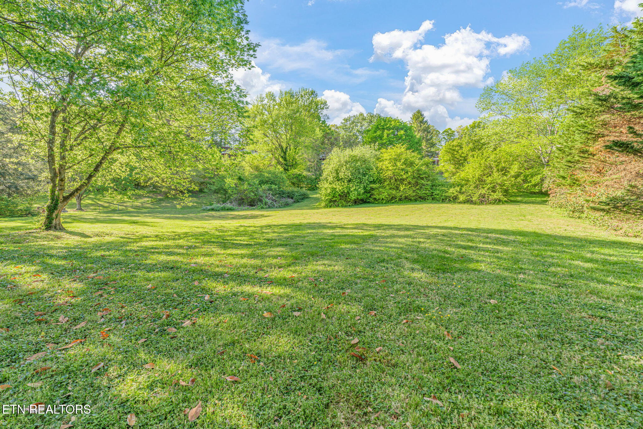 206 Lakeview Lane Oak Ridge, TN 37830 - Photo 52 of 59 58-web-or-mls-206 Lakeview Lane-53