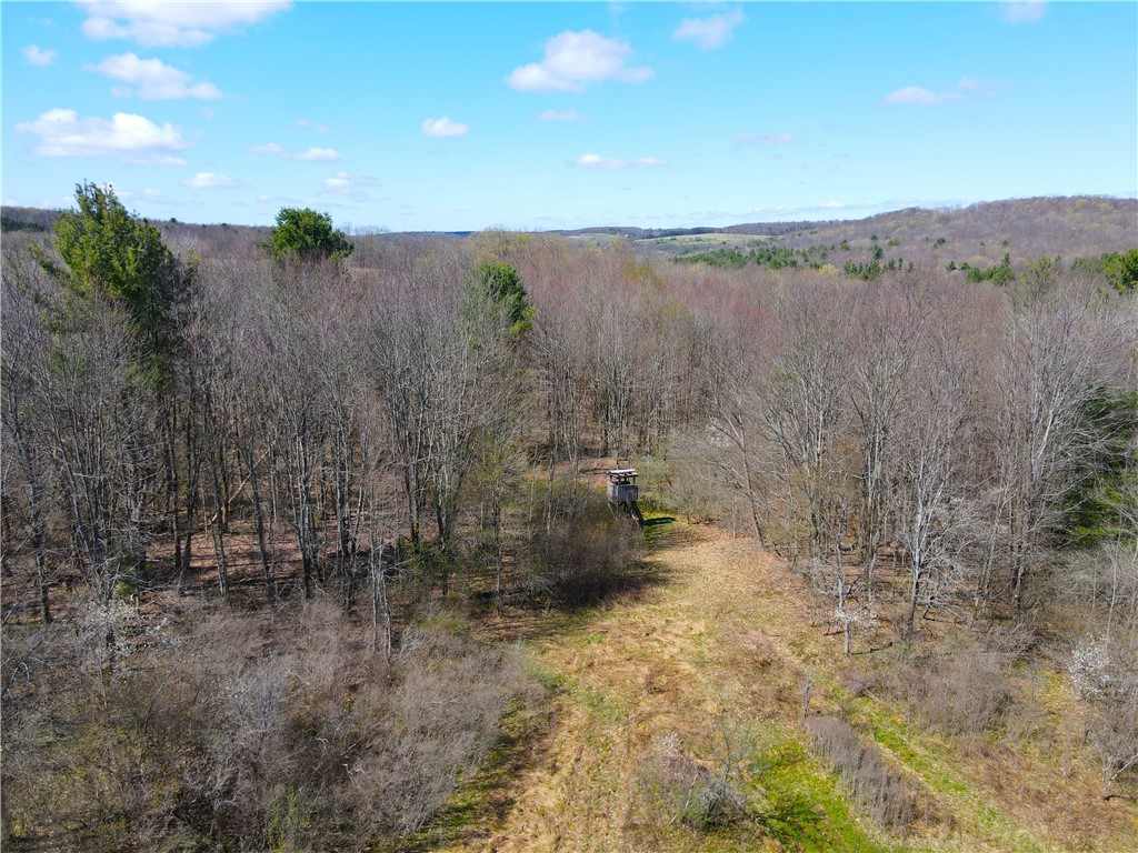 2856 Zimmer Road Scio, NY 14880 - Photo 24 of 50