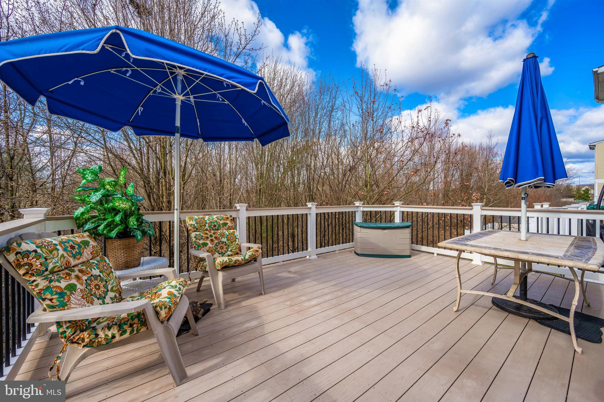 663 Tivoli Road Frederick, MD 21703 - Photo 33 of 40