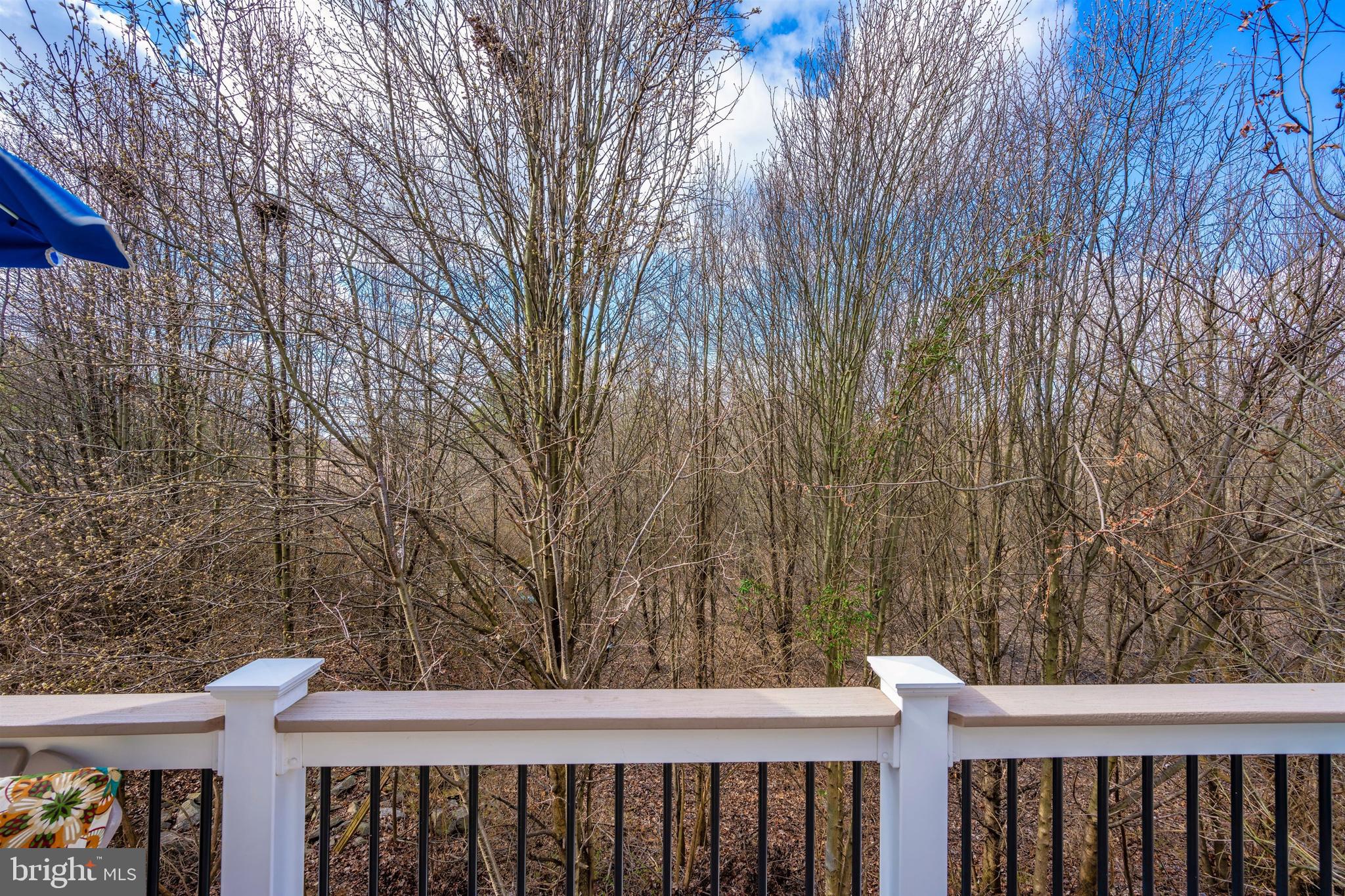 663 Tivoli Road Frederick, MD 21703 - Photo 35 of 40