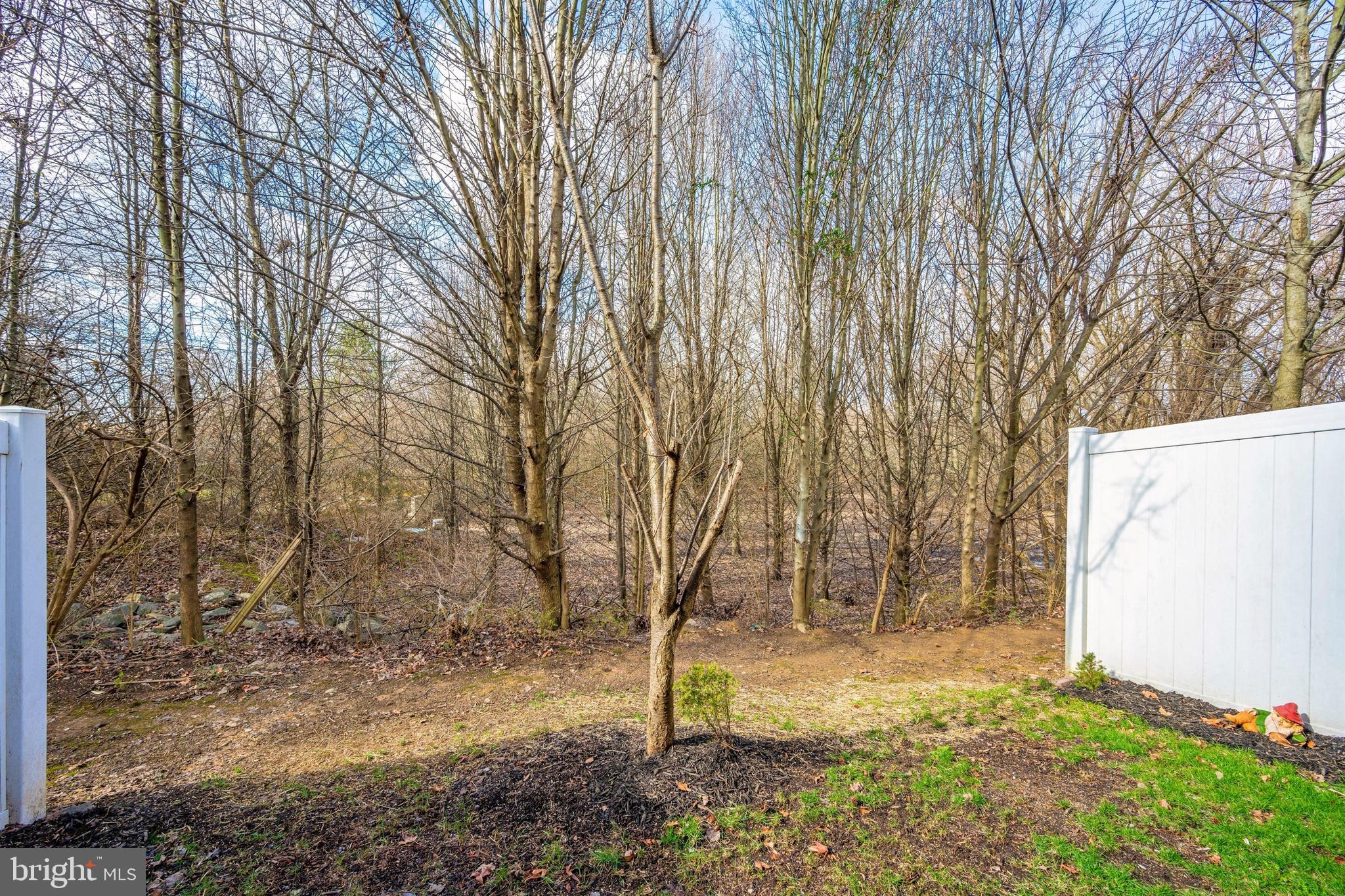 663 Tivoli Road Frederick, MD 21703 - Photo 40 of 40