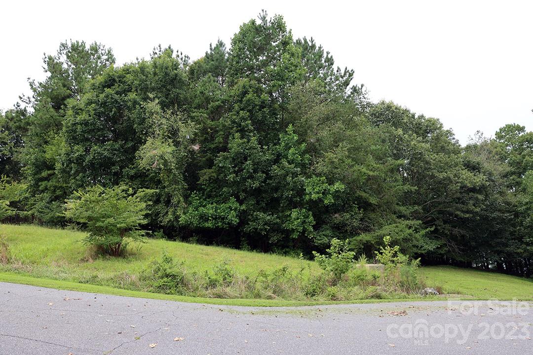 139 Beacon Ridge Drive Stony Point, NC 28678 - Photo 8 of 22 Gallery Image 8