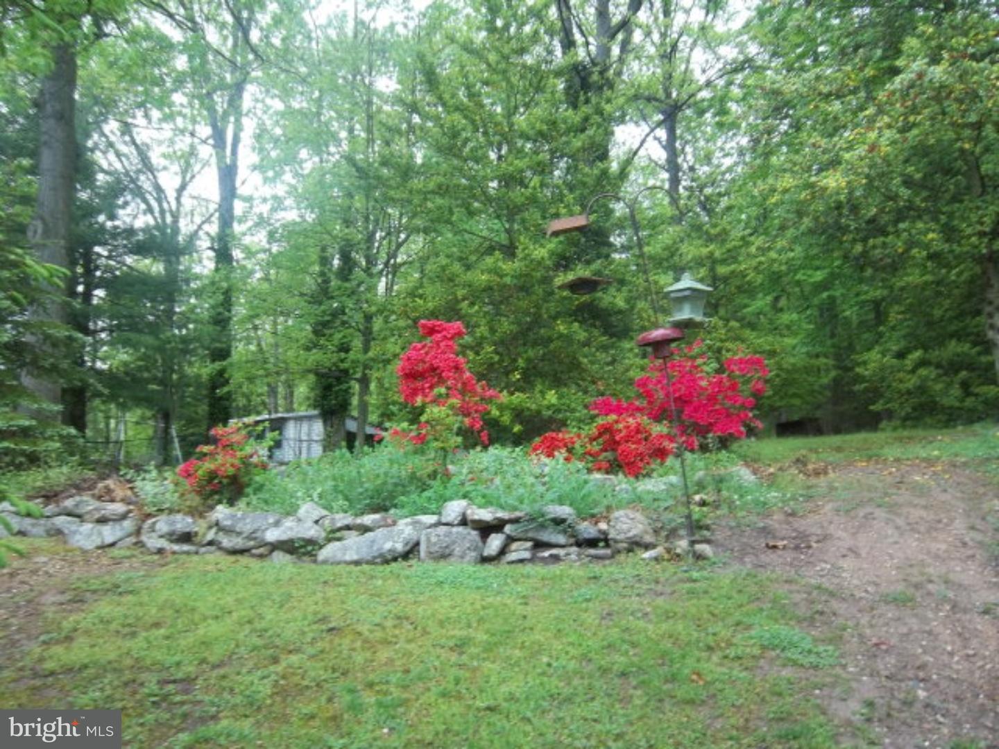 163 Germanville Road Ashland, PA 17921 - Photo 4 of 25