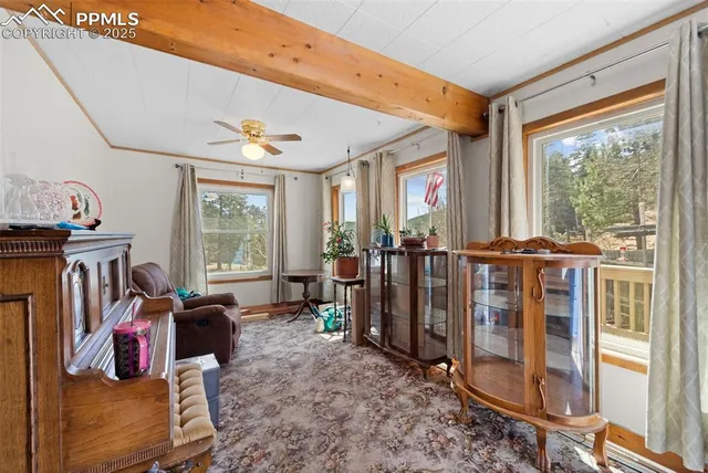 a view of a livingroom with furniture window and outside view