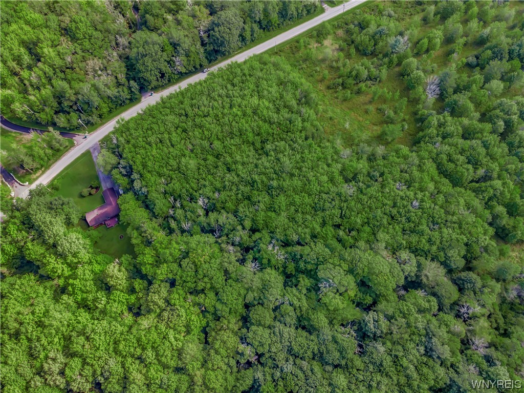Vl#1 Vl Road Colden, NY 14033 - Photo 1 of 1