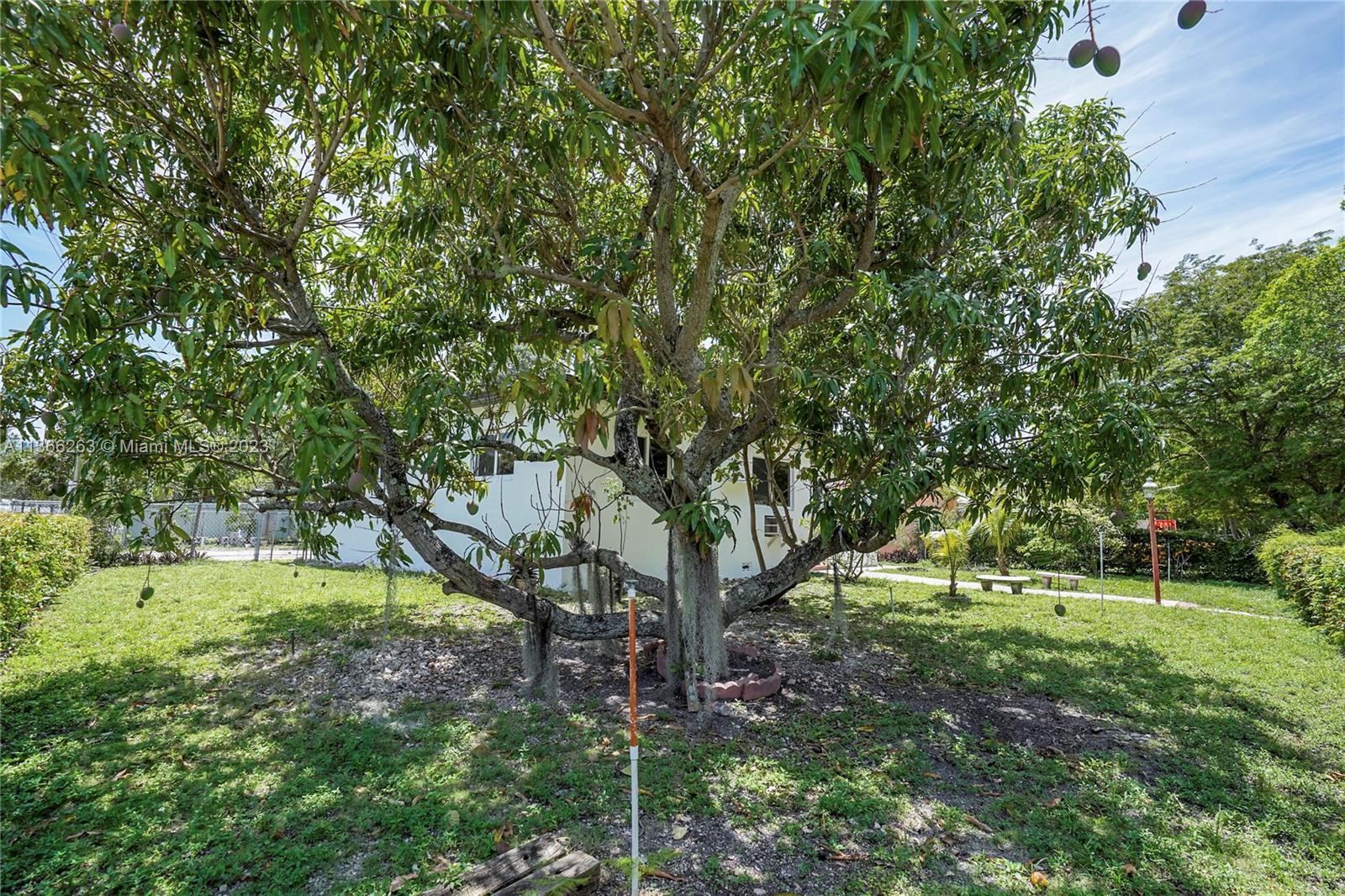 300 Northeast 48th Street Miami, FL 33137 - Photo 23 of 31 a view of grassy field with trees