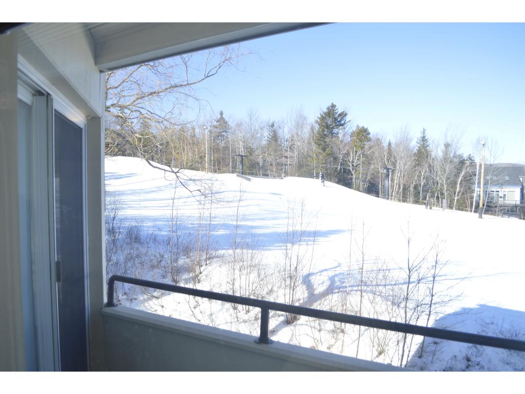 Carinthia Road, Unit 4B West Dover, VT 05356 - Photo 3 of 20 Gallery Image 3