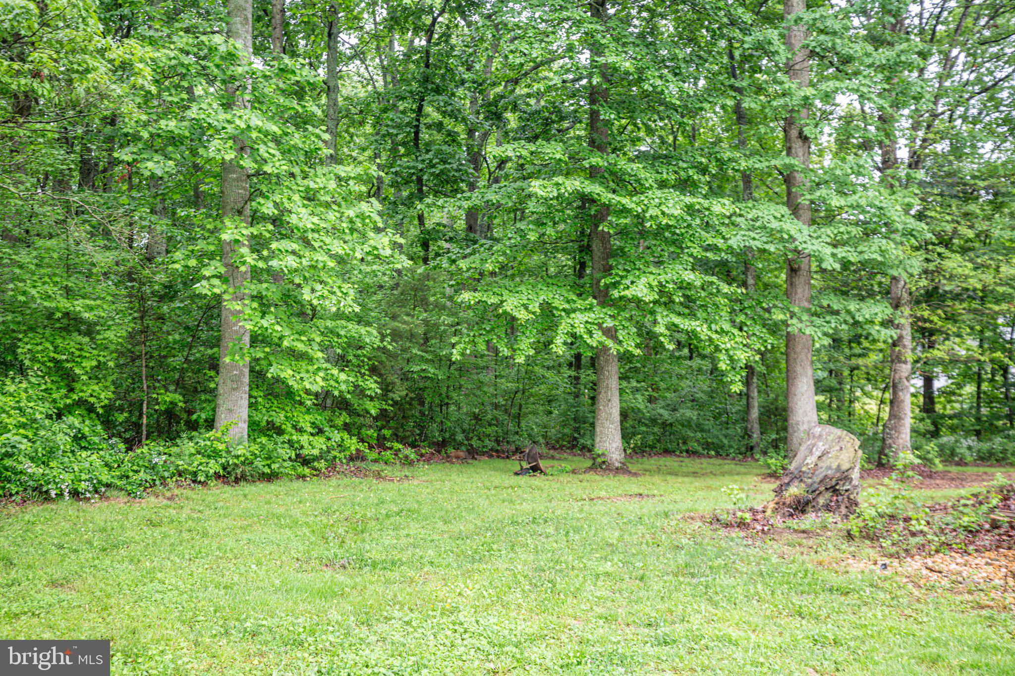 67 Holly Corner Road Fredericksburg, VA 22406 - Photo 34 of 34 The treed area behind gives great privacy & shade