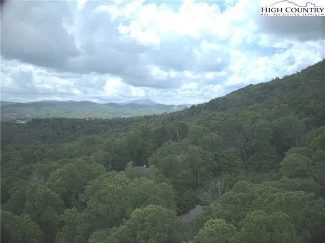 a view of a big yard of the house