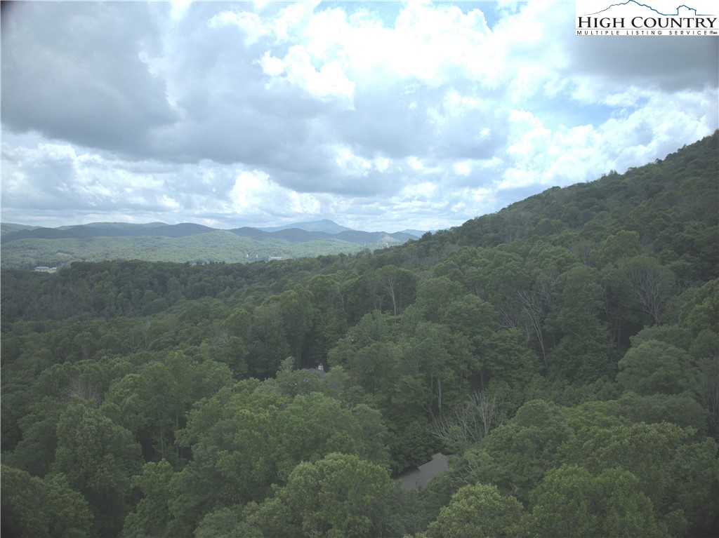 Market Hills Drive Boone, NC 28607 - Photo 12 of 23 a view of a big yard of the house