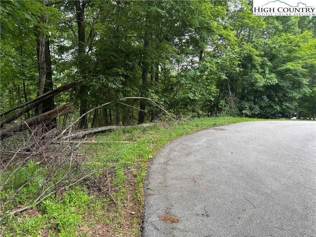 Market Hills Drive Boone, NC 28607 - Photo 14 of 23 a view of a backyard