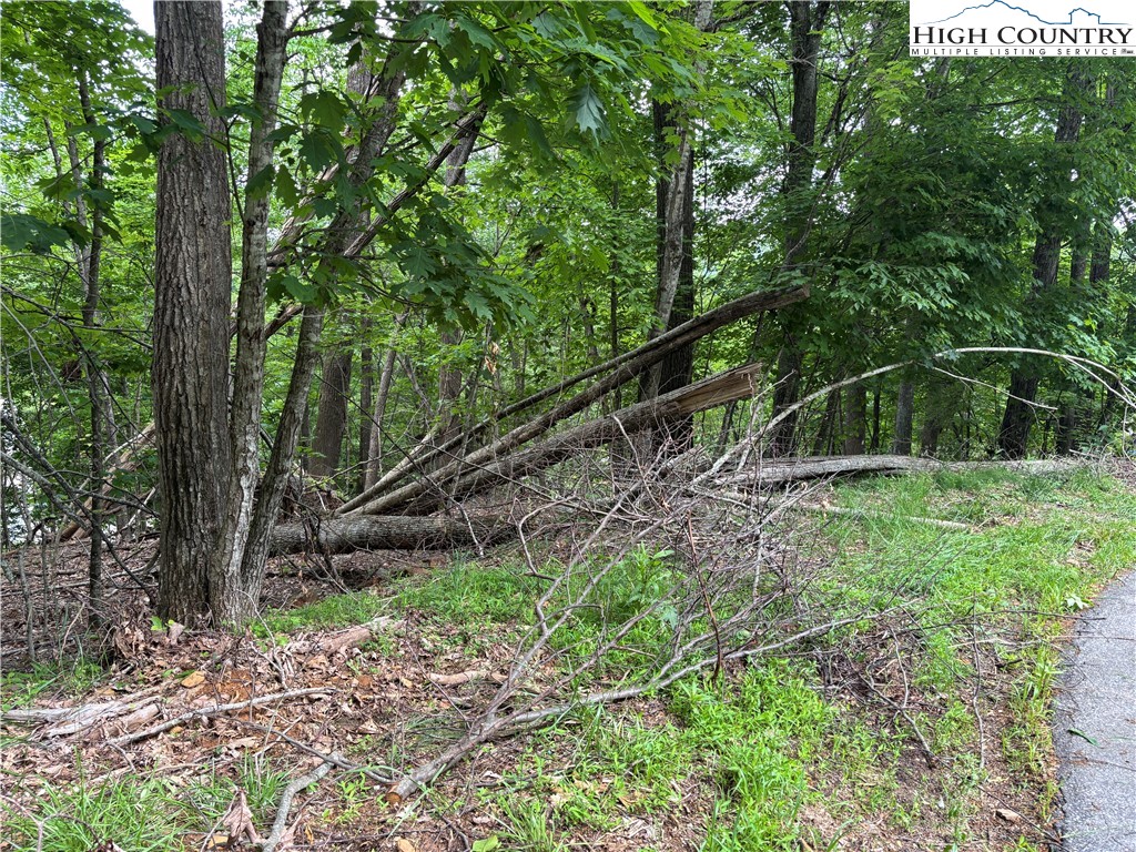 Market Hills Drive Boone, NC 28607 - Photo 16 of 23 a backyard of a house with lots of green space