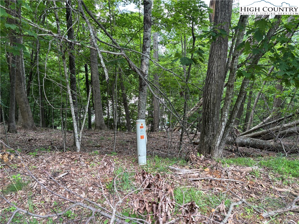 Market Hills Drive Boone, NC 28607 - Photo 17 of 23 a backyard of a house with lots of green space
