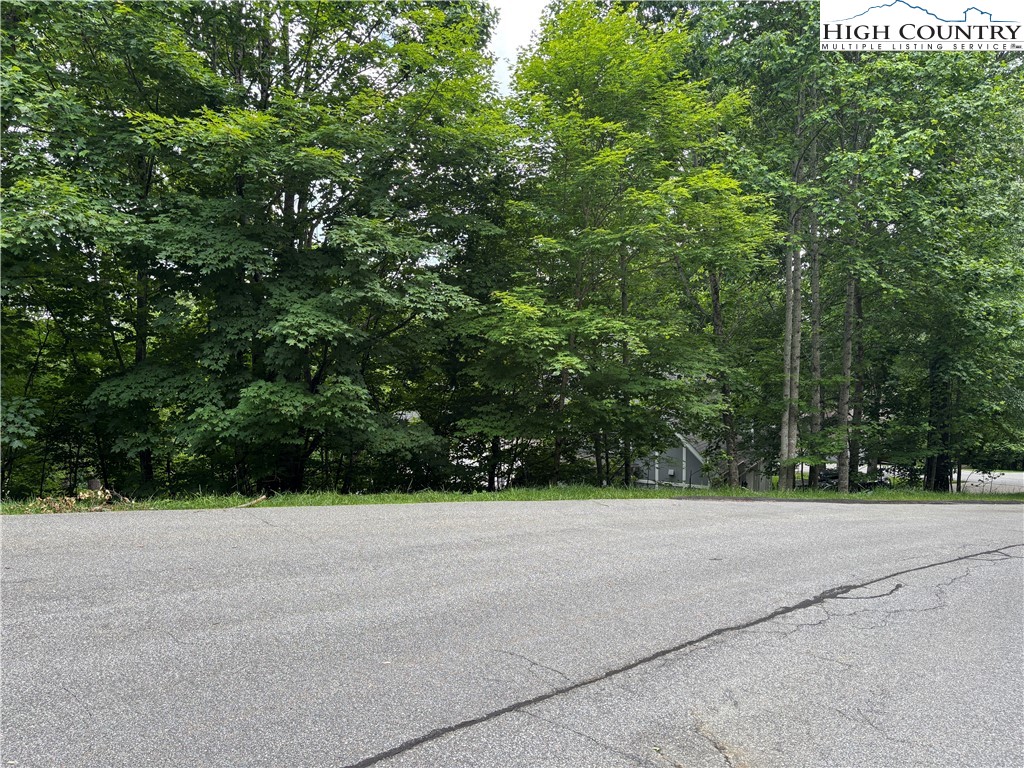 Market Hills Drive Boone, NC 28607 - Photo 18 of 23 a view of a garden