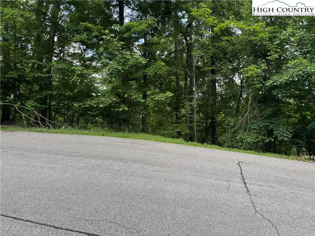 a view of a field with plants and trees
