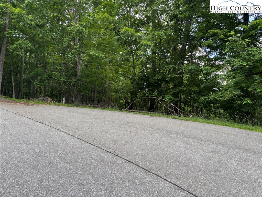 Market Hills Drive Boone, NC 28607 - Photo 21 of 23 a view of a field with plants and trees