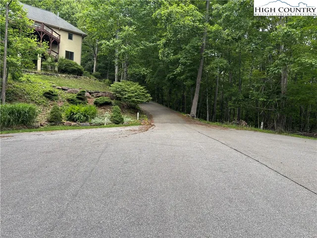 a view of a garden with potted plants