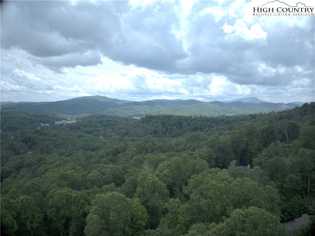 Market Hills Drive Boone, NC 28607 - Photo 5 of 23 a view of a city and a lot of trees