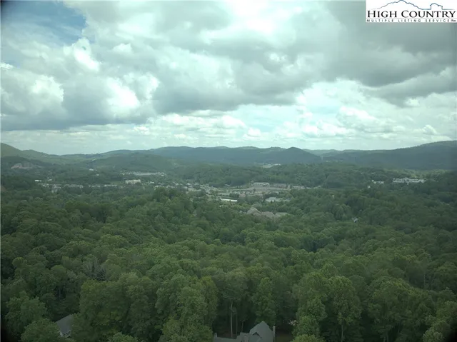 a view of a city with lush green forest