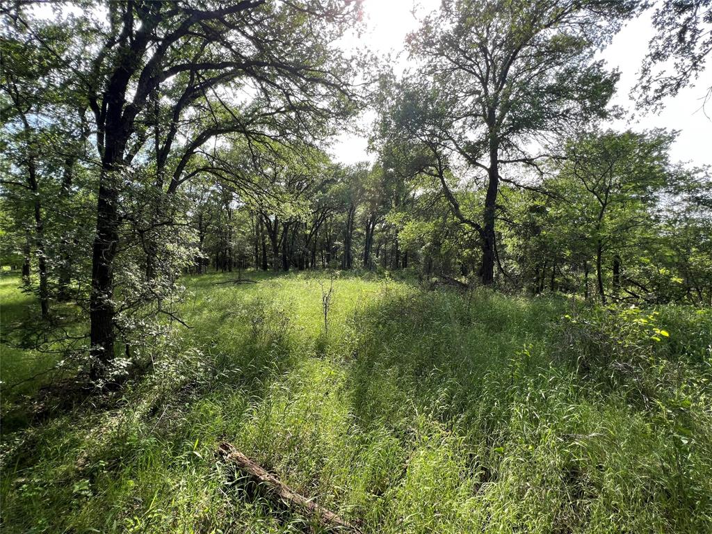 137 County Road 137 Road Cisco, TX 76437 - Photo 4 of 12