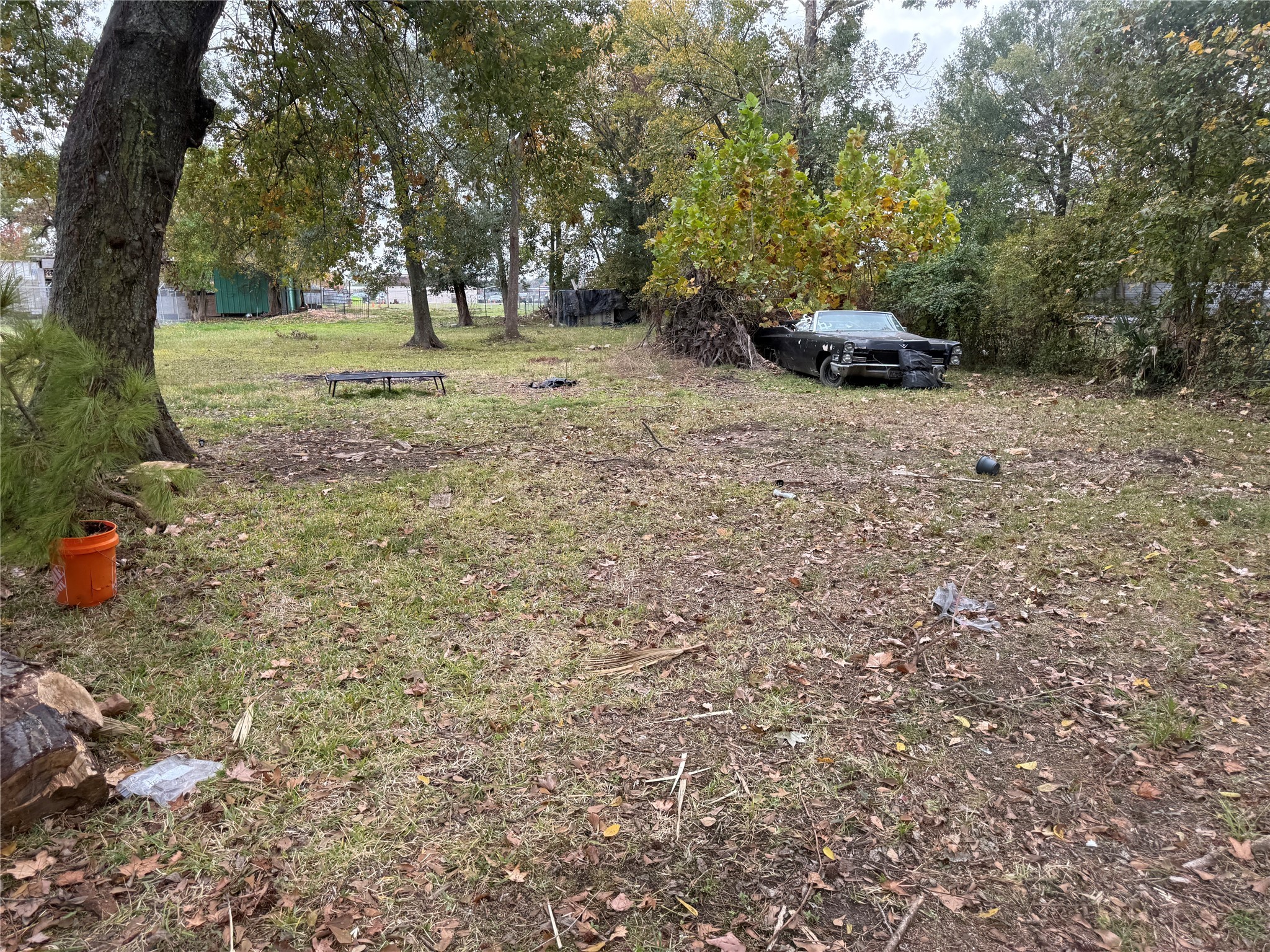 6002 Mohawk Street Houston, TX 77016 - Photo 6 of 10 a view of outdoor space with trees