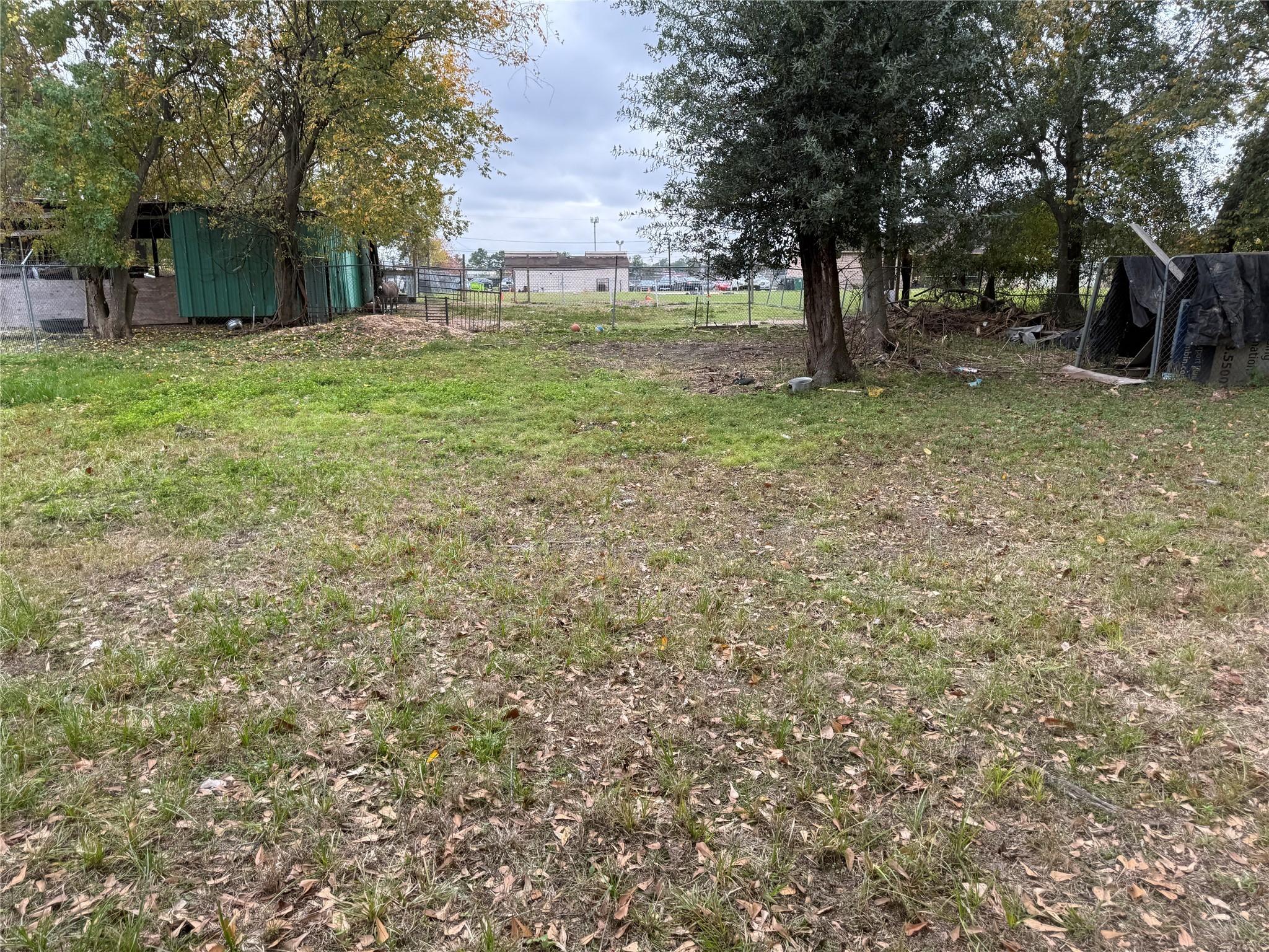 6002 Mohawk Street Houston, TX 77016 - Photo 8 of 10 a backyard of a house with lots of green space
