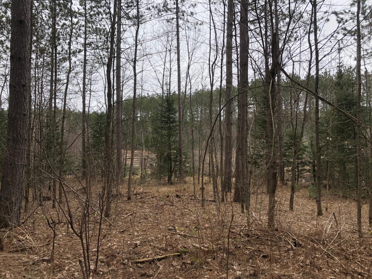 8 South Rd Crandon Wi 54520 Road Crandon, WI 54520 - Photo 37 of 38 Gallery Image 37