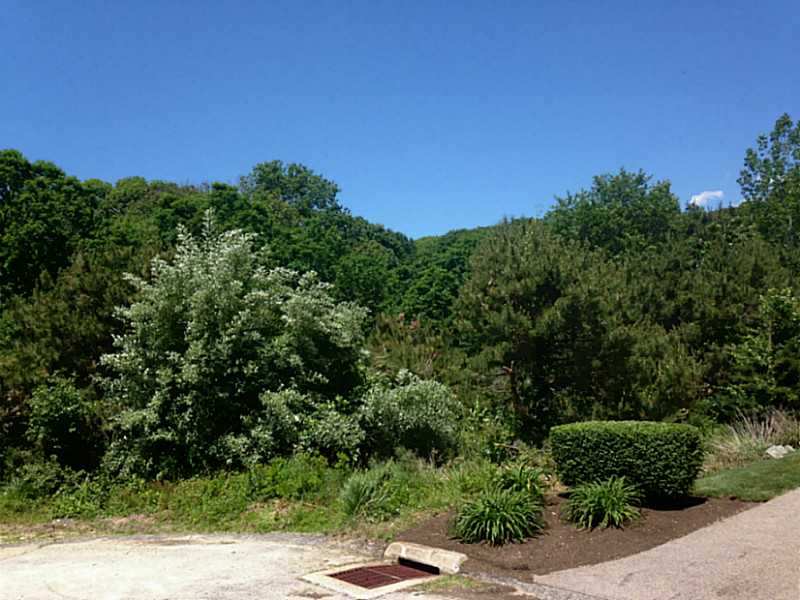 Land/Lot.