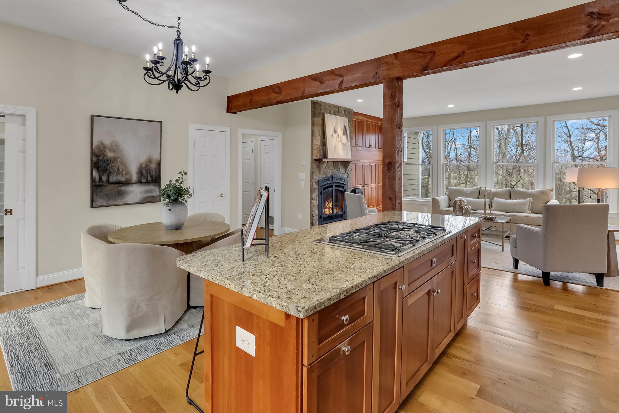 37218 Bolyn Road Purcellville, VA 20132 - Photo 24 of 62 Posts & Beamed 9'+ ceilings