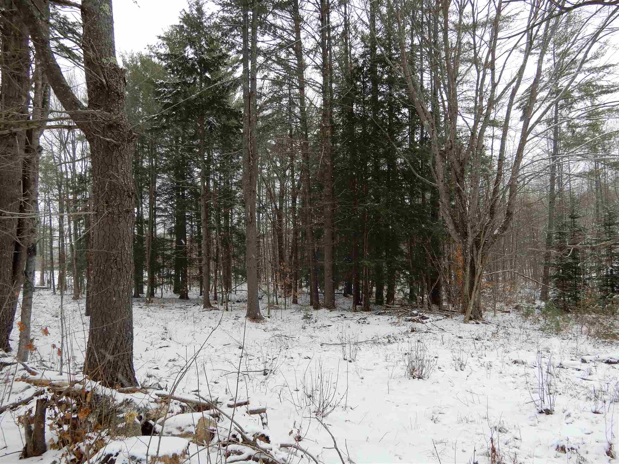 290 Bullocks Crossing Road Grafton, NH 03240 - Photo 4 of 4