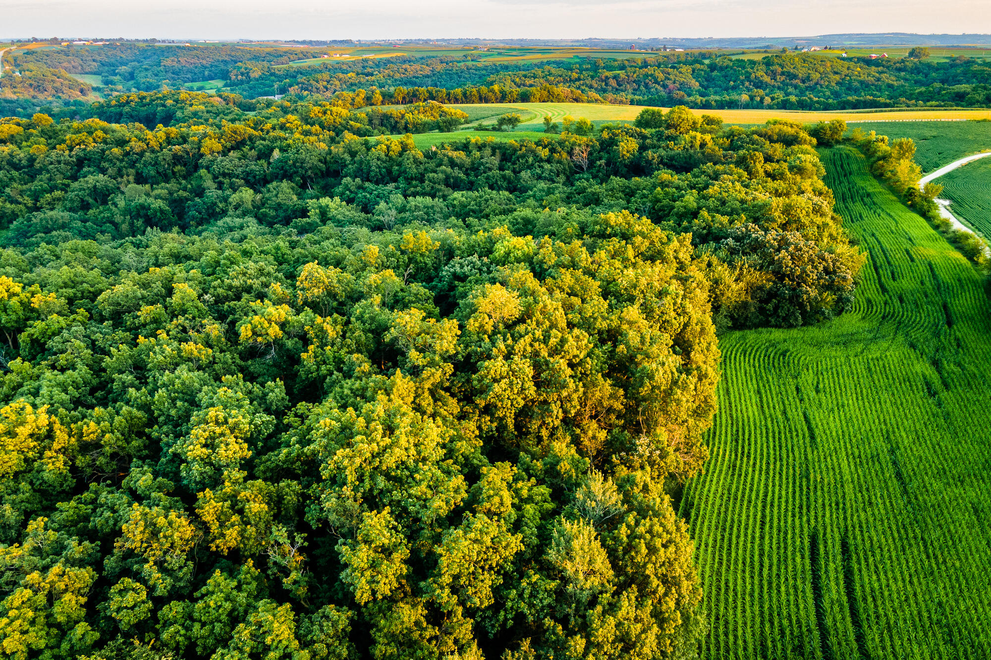 5292 Stenner Hill Road Marion, WI 53805 - Photo 60 of 69 Grant-County-WI-155-Acres-Land-For-Sale-