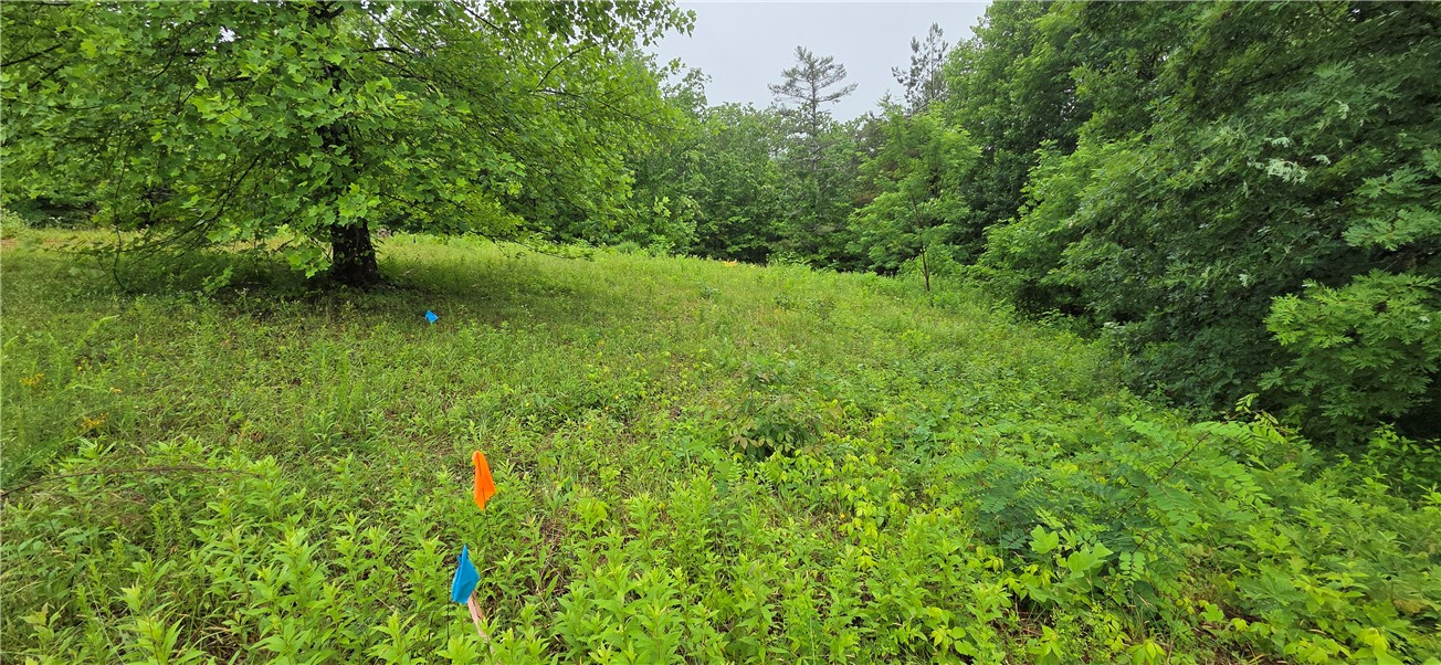 1 Lenore B Lane Mountain Rest, SC 29664 - Photo 3 of 30