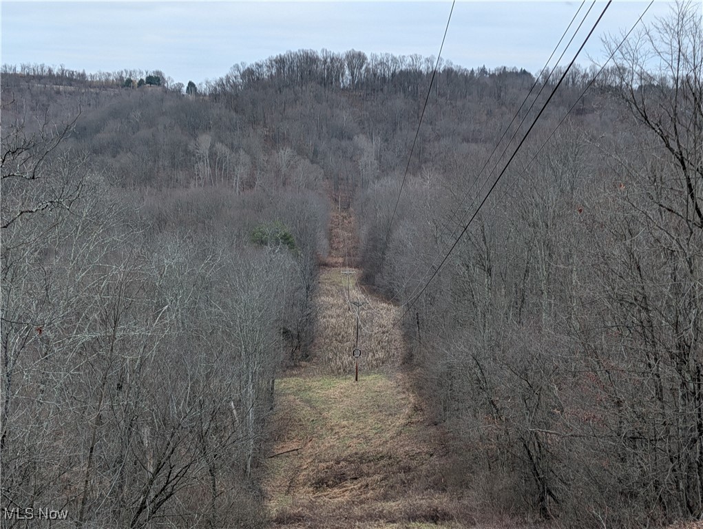 Brown Peavine Road Alledonia, OH 43902 - Photo 39 of 50