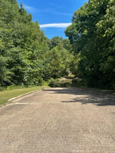 24 Briar Creek Road Pittsview, AL 36871 - Photo 28 of 43 Briar Creek Public Boat Ramp