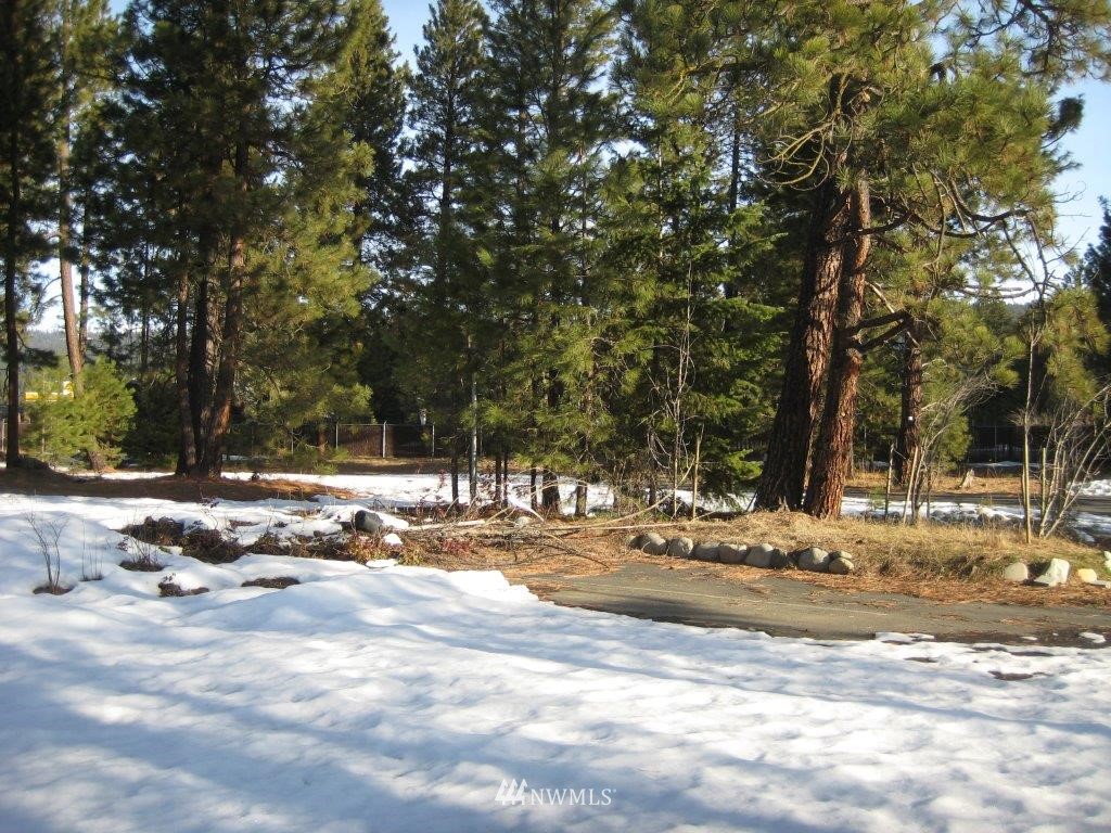 4246 Bullfrog Road Cle Elum, WA 98922 - Photo 1 of 9 Gallery Image 1