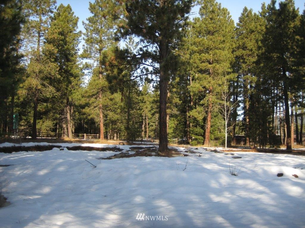 4246 Bullfrog Road Cle Elum, WA 98922 - Photo 3 of 9 Gallery Image 3