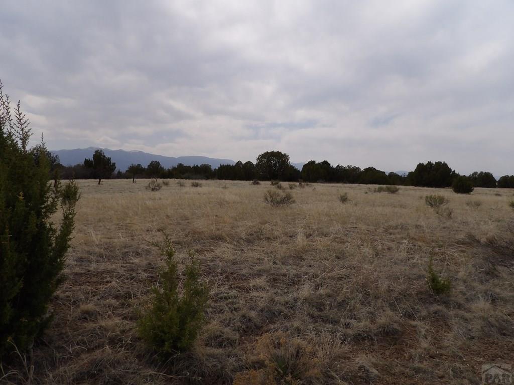 9065 Canyon Rim Drive Rye, CO 81069 - Photo 51 of 57