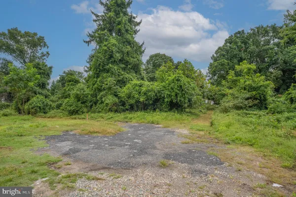 a view of a trees with a yard
