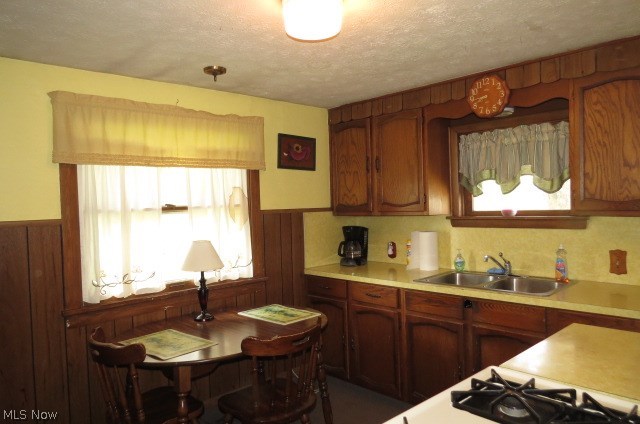 2268 North Ridge Road Elyria, OH 44035 - Photo 11 of 16 2nd Kitchen View