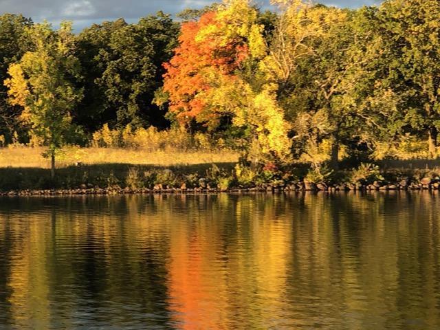 29128 King Road Browerville, MN 56438 - Photo 19 of 24